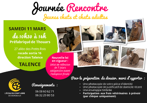 Les pensions pour chats