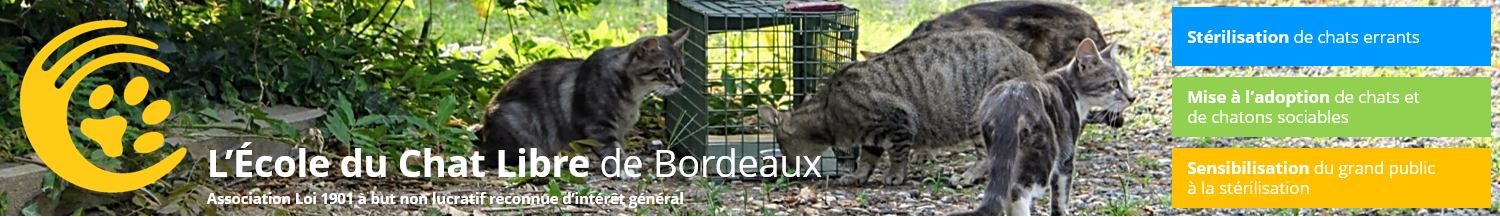 L'École du Chat Libre de Bordeaux