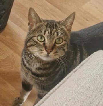 leeloo