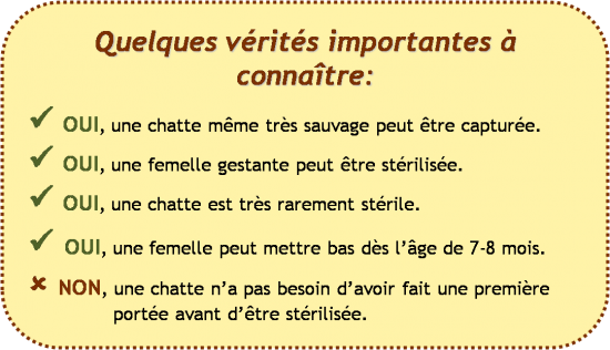 vetre vetre